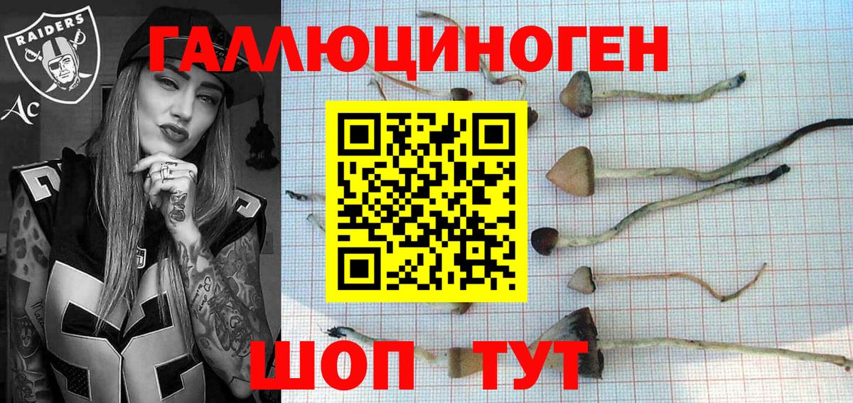 Кировск  Галлюциногенные грибы MAGIC MUSHROOMS  Вход с VPN  Псилоцибиновые грибы мухоморы 
